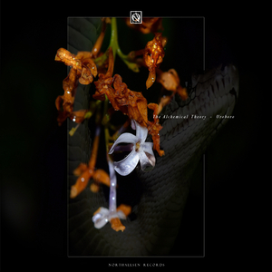 Emblematic (Original Mix)