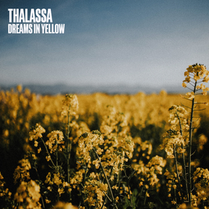 Dreams In Yellow