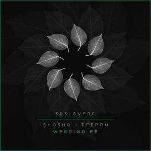 Werdino (Original Mix)