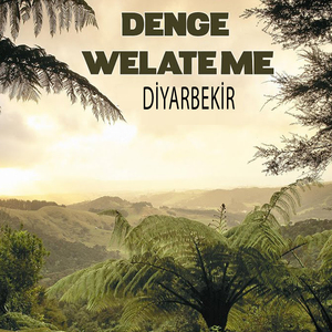 Diyarbekir