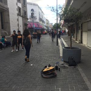 她什么时候会来救我