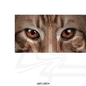 Amber Eyes (feat. No One)