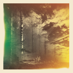 A Radiant Aurora of What's Left