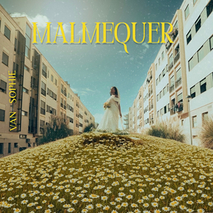 Malmequer