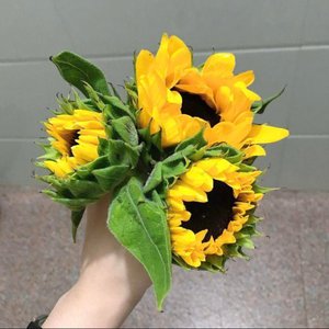 名もなき感情（coverウソツキ）