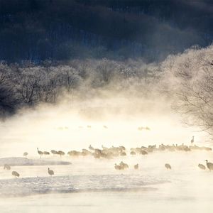 钢琴白噪音里的入眠之约