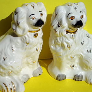 ffansïon | fancies v