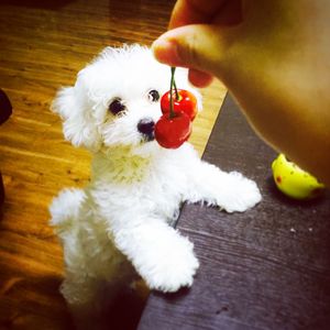 新的-马德里不可思议.mp3