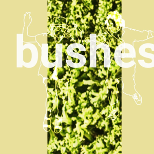 Bushes