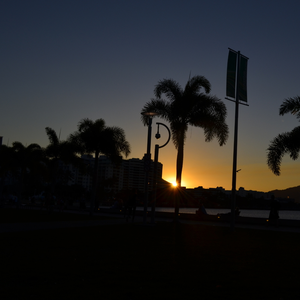 竹笛-扬鞭催马运粮忙