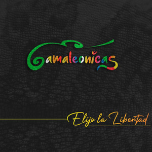 Vidala Pal Tiempo de Paz