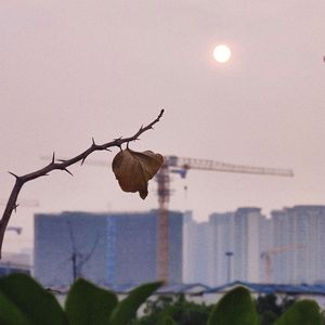 想见你想见你想见你