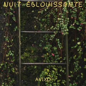 Nuit Éblouissante