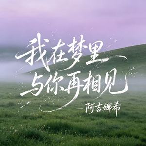 我在梦里与你再相见