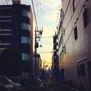 砂の月 / 透明な虹