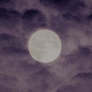 黑加仑果汁（prod.by Morrow）