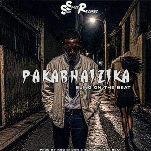 Pakabhaizika