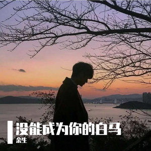 不能成为你的白马-（释怀男版）余生