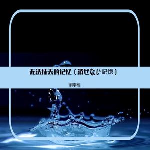 无法抹去的记忆