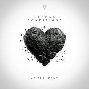 Terms and Conditions (feat. Samiya & Dee-Vine)