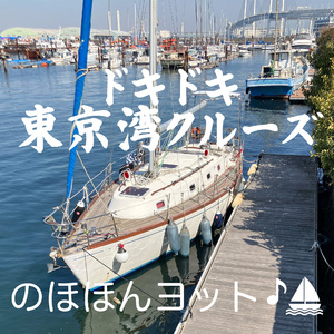 ハンマーヘッドへ行こう!!