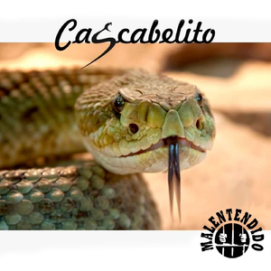 Sábados