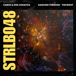 Dancing Through The Night (Extended Mix)