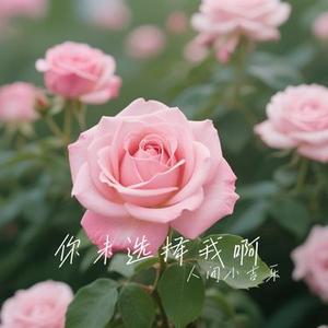 你未选择我啊