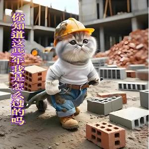 你知道这些年我是怎么过的吗