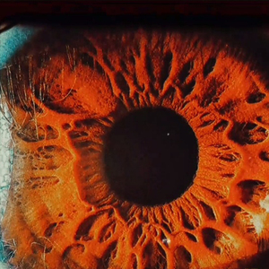Ojos Marrones