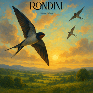 Rondini