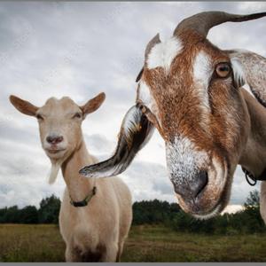 Lefthand (feat. Twizzie)