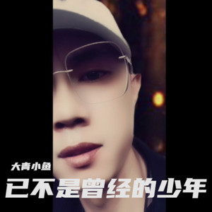 已不是曾经的少年 (伴奏)