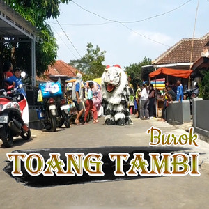 Toang Tambi