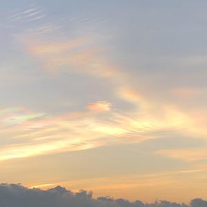 《呼和浩特的草原》词曲唱 赵鑫