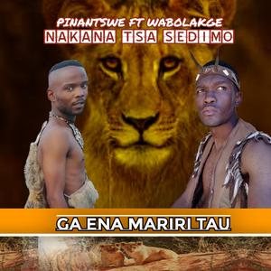 GAENA MARIRI TAU (feat. Pinalentswe)