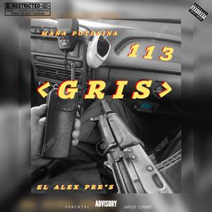 GRIS 113