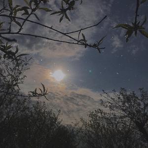 Summertime(Arrange ver.Cover：cinnamons)