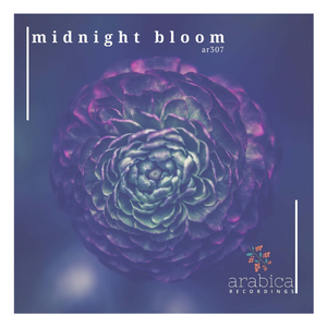 Strip Solitaire (Original Mix)