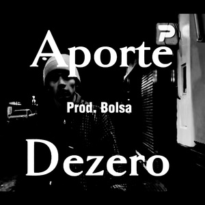 APORTE