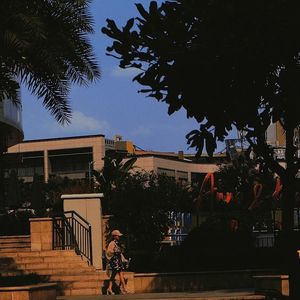 寂寞沙洲冷