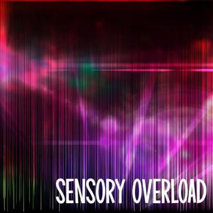 Sensory Overload (Instrumental)