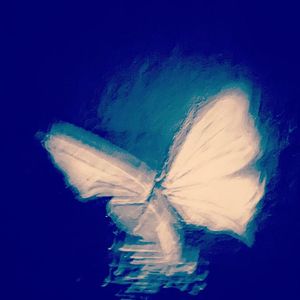 夏日漱石cover 橘子海