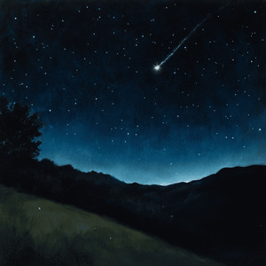 星降る夜の約束