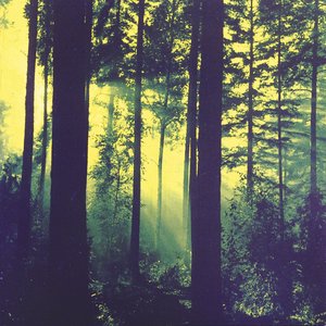 Flowers of Witchery Abloom