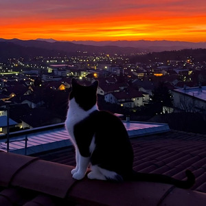 希望你不要回头