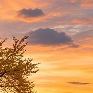 如果你把我灌醉