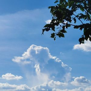 East Of Eden(Cover Zella Day)