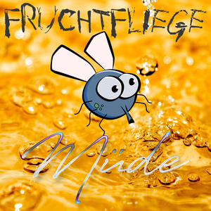Müde