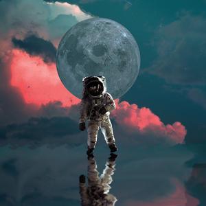 路过人间鸭鸭版